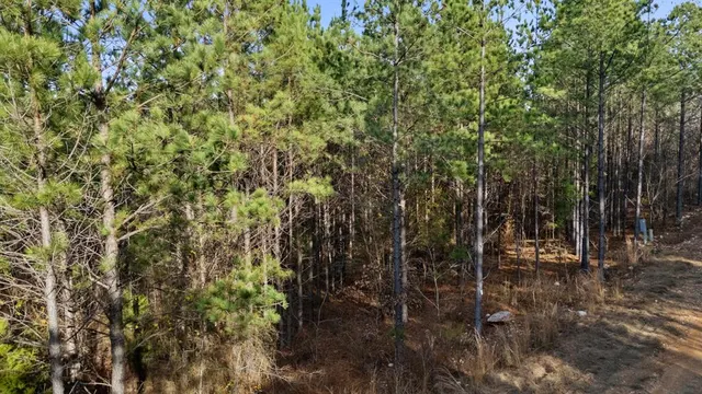 Photo 5 — 317 Marked Pine Lane, Broken Bow, OK 74728
