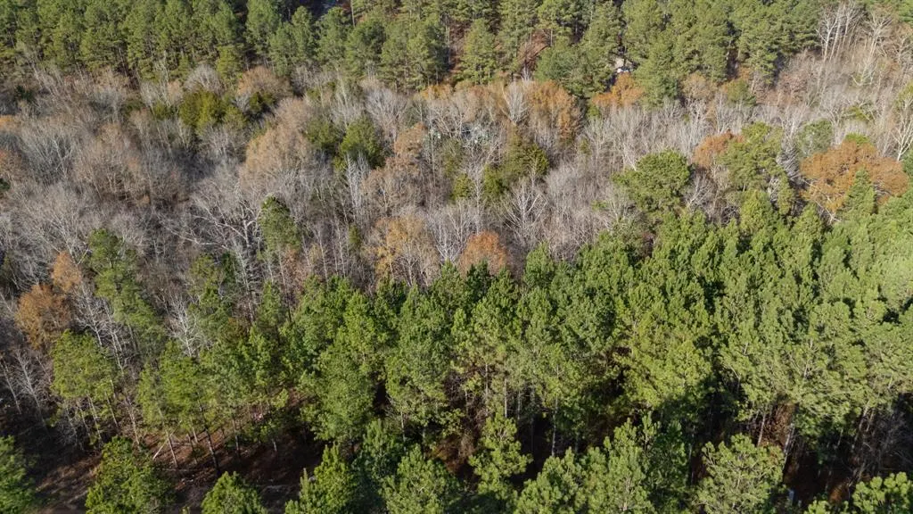 Photo 7 — 317 Marked Pine Lane, Broken Bow, OK 74728