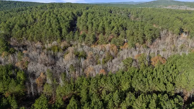 Photo 8 — 317 Marked Pine Lane, Broken Bow, OK 74728
