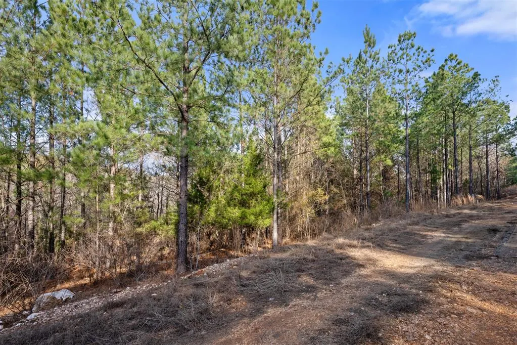 Photo 11 — 317 Marked Pine Lane, Broken Bow, OK 74728