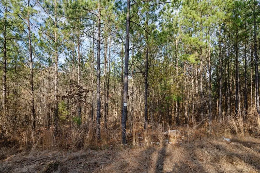 Photo 12 — 317 Marked Pine Lane, Broken Bow, OK 74728