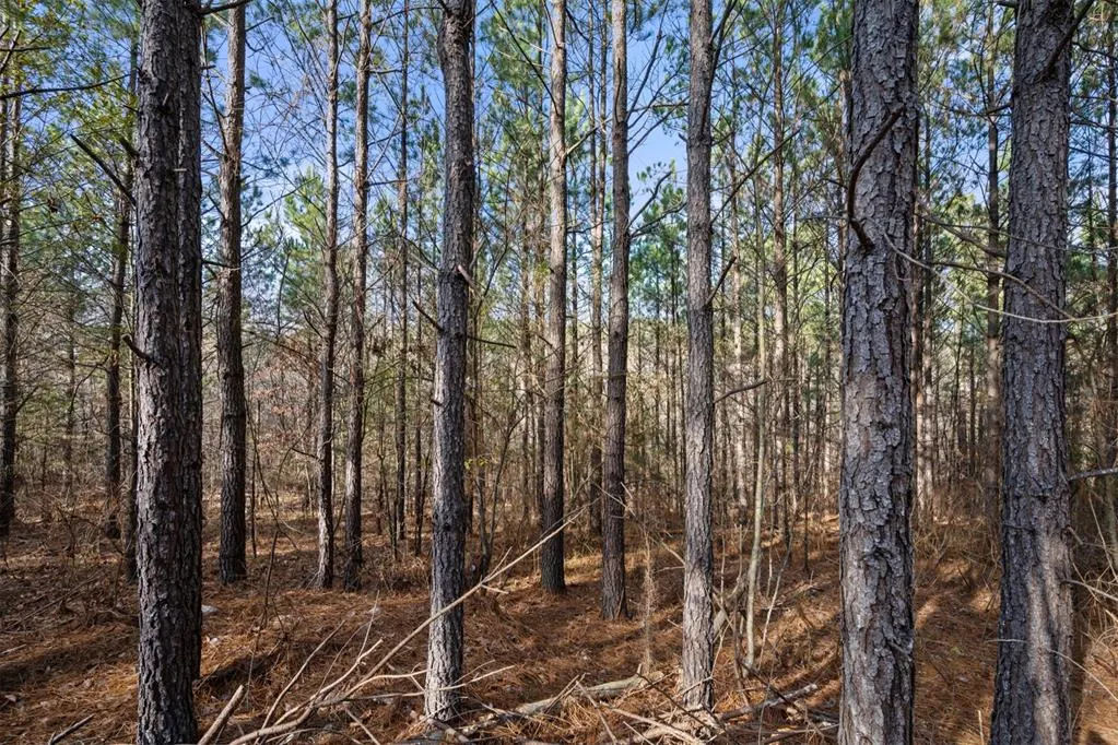Photo 14 — 317 Marked Pine Lane, Broken Bow, OK 74728