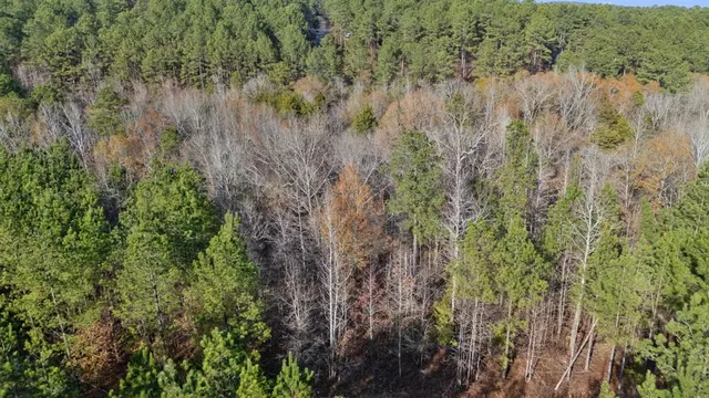 Photo 3 — 316 Marked Pine Lane, Broken Bow, OK 74728