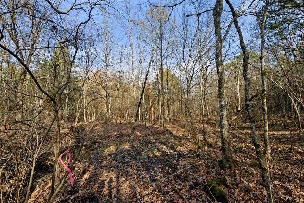 Photo 4 — 316 Marked Pine Lane, Broken Bow, OK 74728