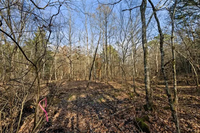 Photo 4 — 316 Marked Pine Lane, Broken Bow, OK 74728
