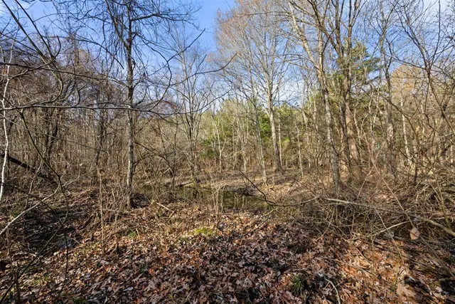 Photo 5 — 316 Marked Pine Lane, Broken Bow, OK 74728