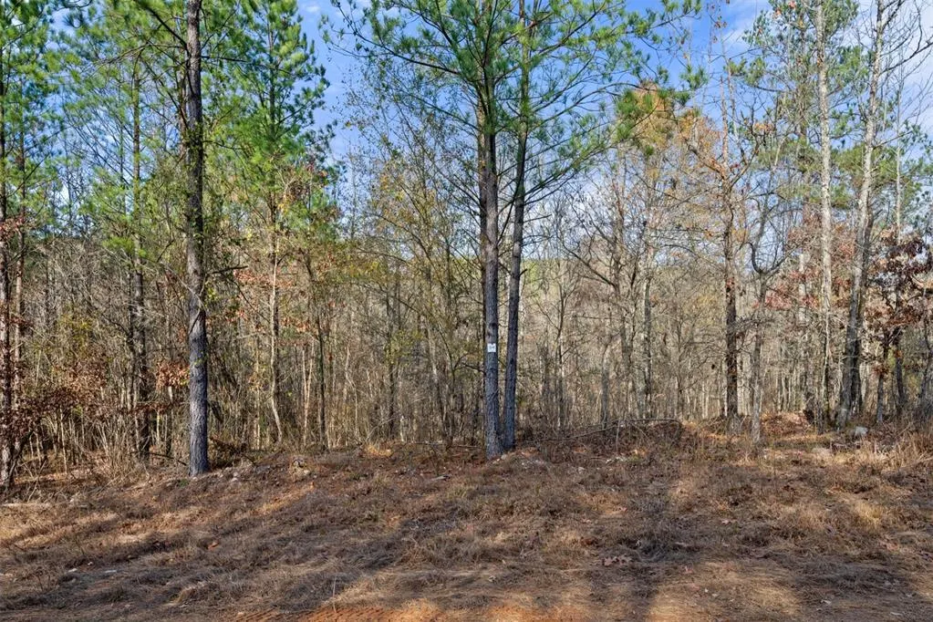 Photo 13 — 316 Marked Pine Lane, Broken Bow, OK 74728