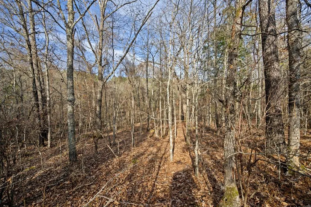 Photo 15 — 316 Marked Pine Lane, Broken Bow, OK 74728