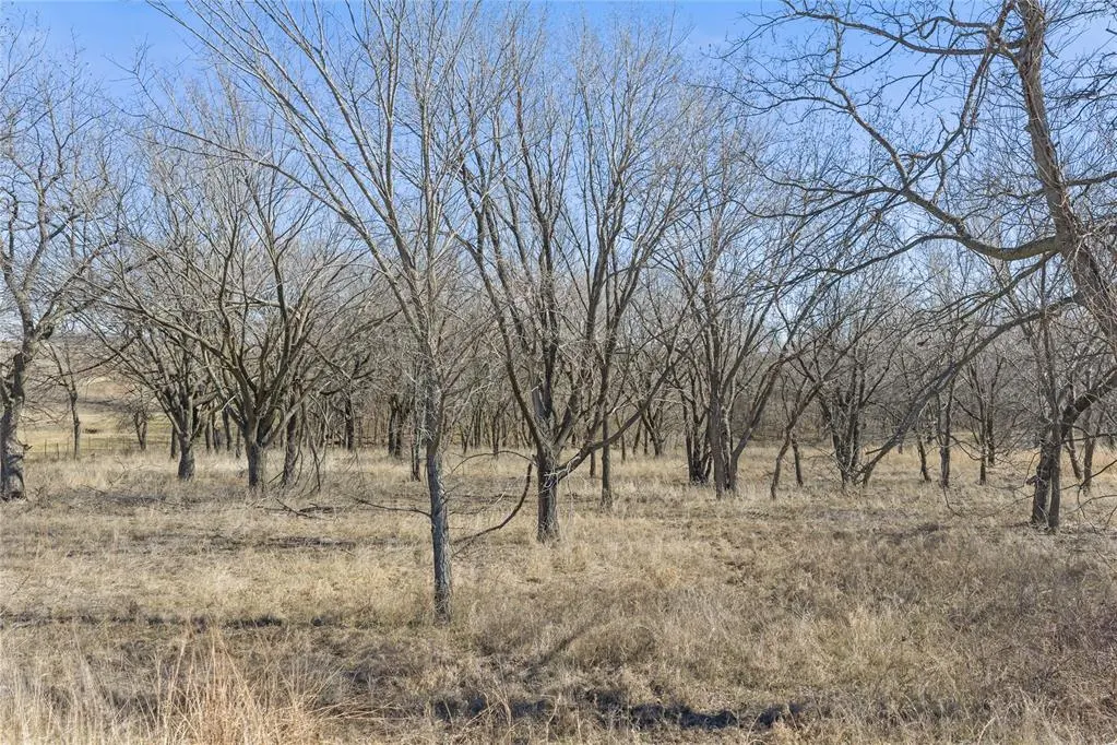 Photo 17 — Remuda Dr., Wayne, OK 73095