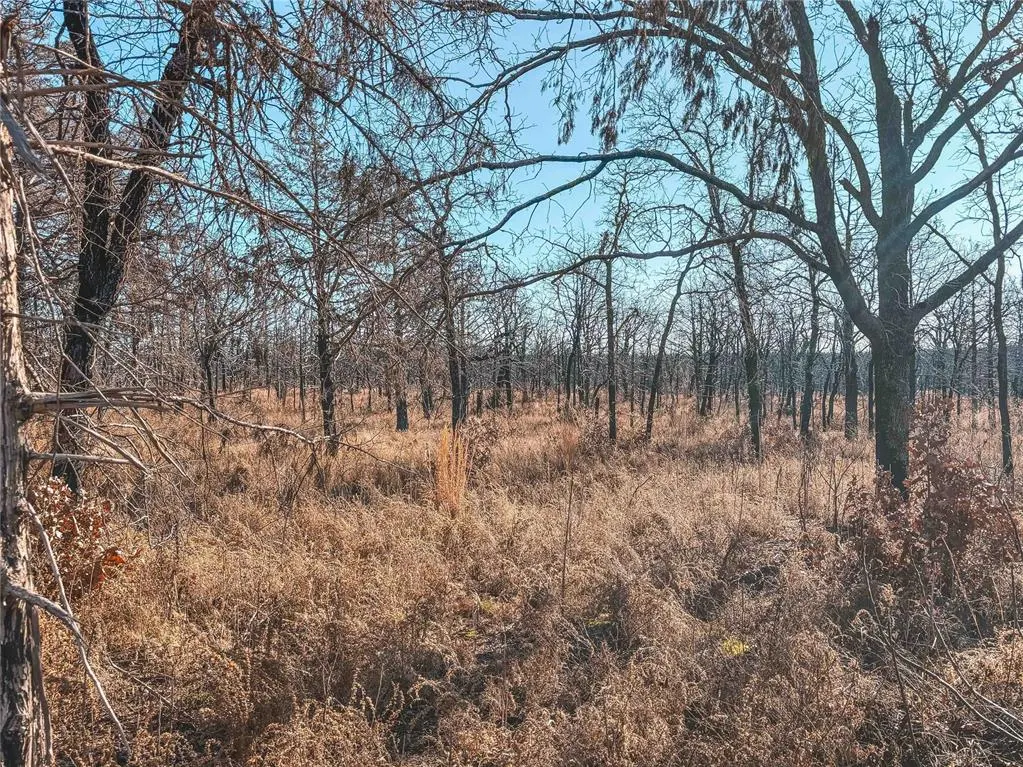 Photo 10 — 0 E Saddlehorn Road, Wellston, OK 74881