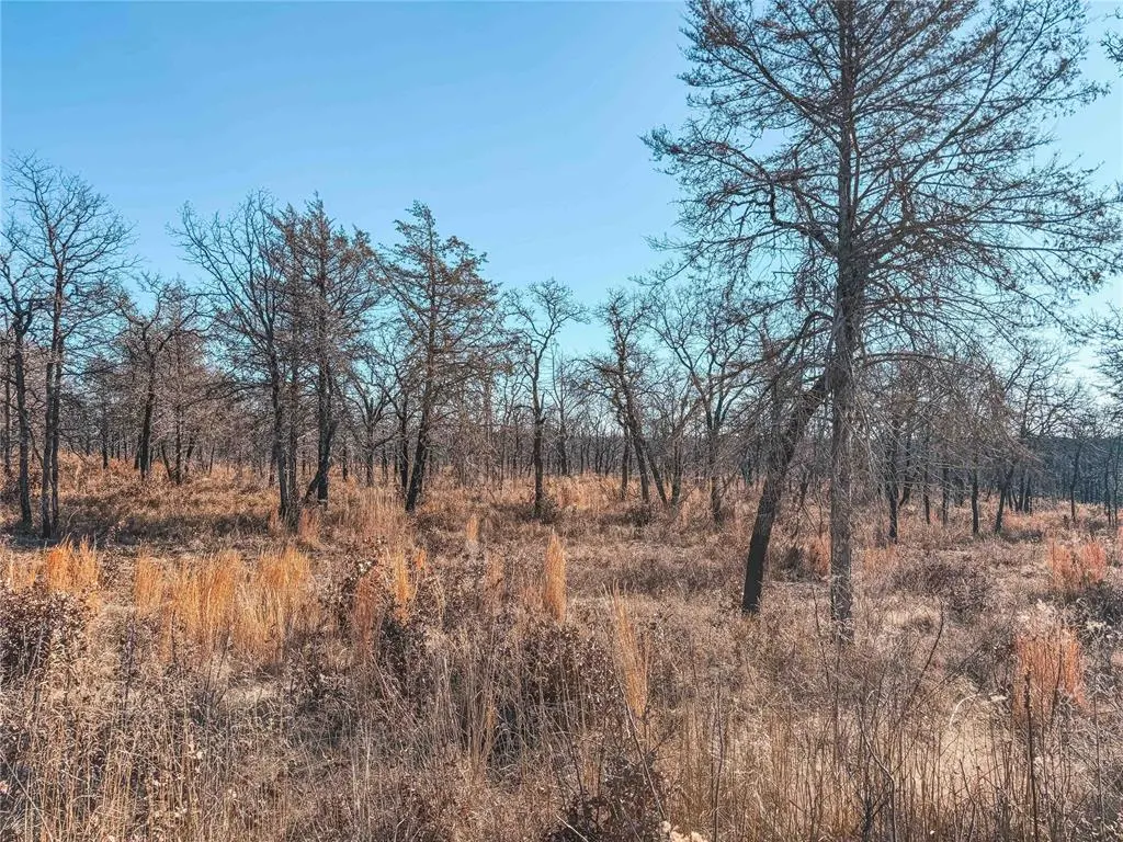 Photo 11 — 0 E Saddlehorn Road, Wellston, OK 74881