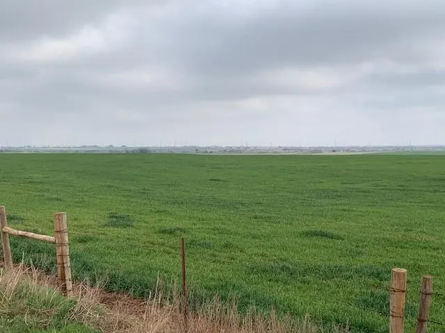 Photo 4 — N Cimarron rd. Road, Piedmont, OK 73078