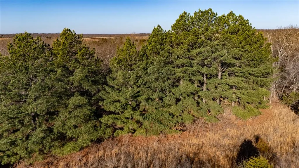 Photo 17 — N 365 Road, Sasakwa, OK 74867