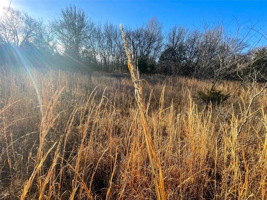 Photo 26 — N 365 Road, Sasakwa, OK 74867