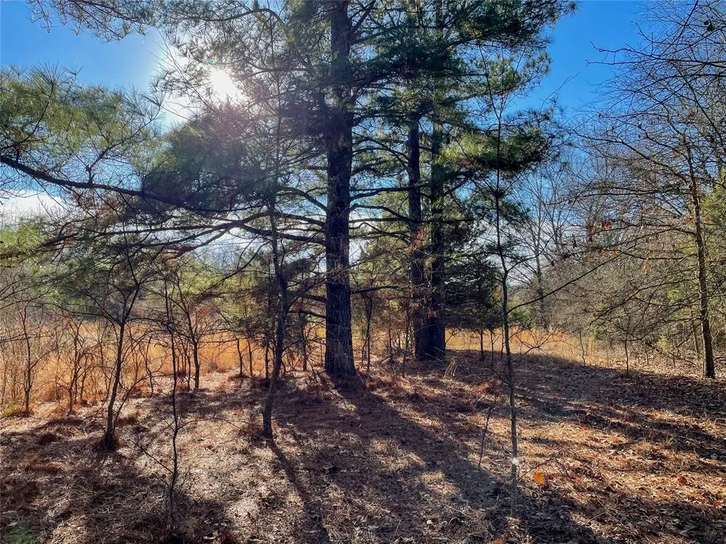 Photo 33 — N 365 Road, Sasakwa, OK 74867