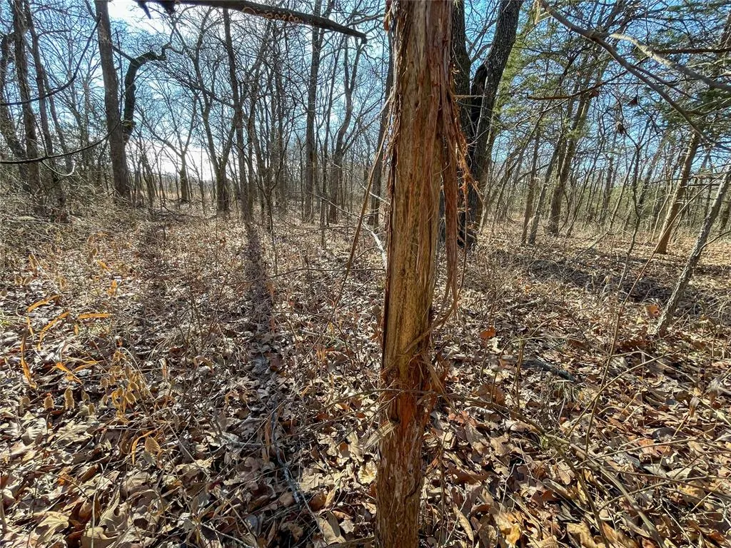 Photo 41 — N 365 Road, Sasakwa, OK 74867