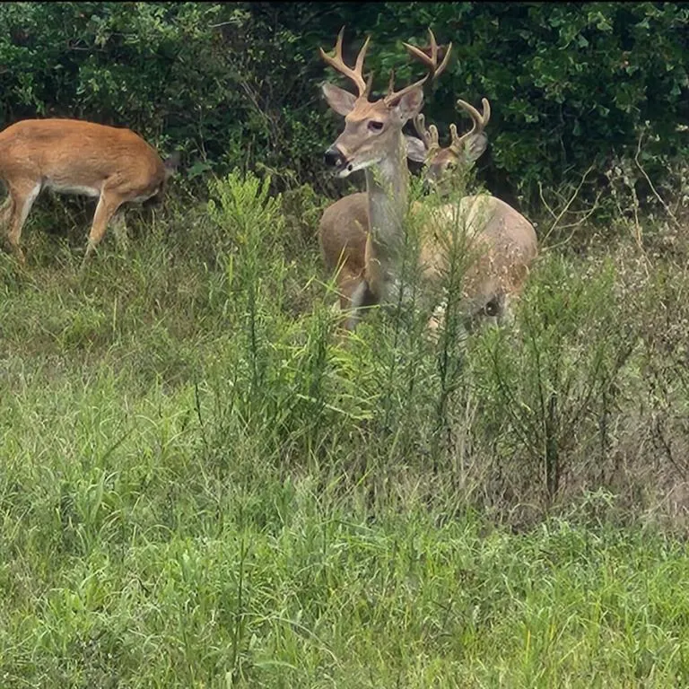 Photo 7 — 116 County Road 1170, Minco, OK 73059