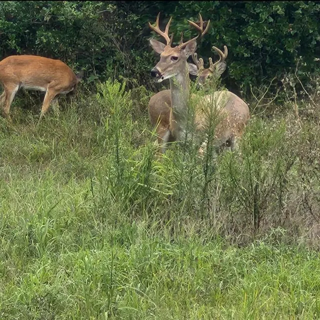 Photo 7 — 116 County Road 1170, Minco, OK 73059