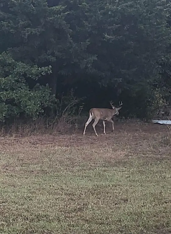 Photo 9 — 116 County Road 1170, Minco, OK 73059