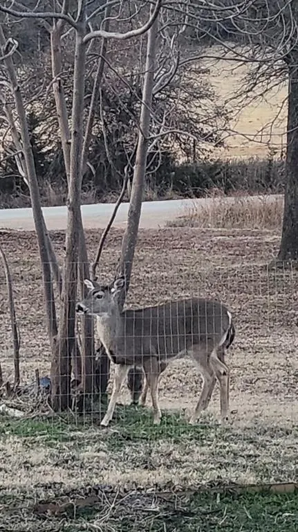 Photo 24 — 116 County Road 1170, Minco, OK 73059