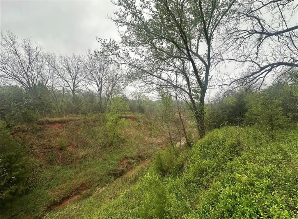 Photo 4 — 00 Okay N 40 Acres Road, Tecumseh, OK 74873