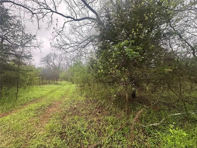 Photo 5 — 00 Okay N 40 Acres Road, Tecumseh, OK 74873