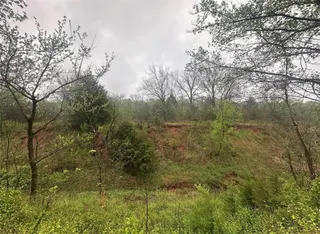 Sold home at 00 Okay S 40 Acres Road