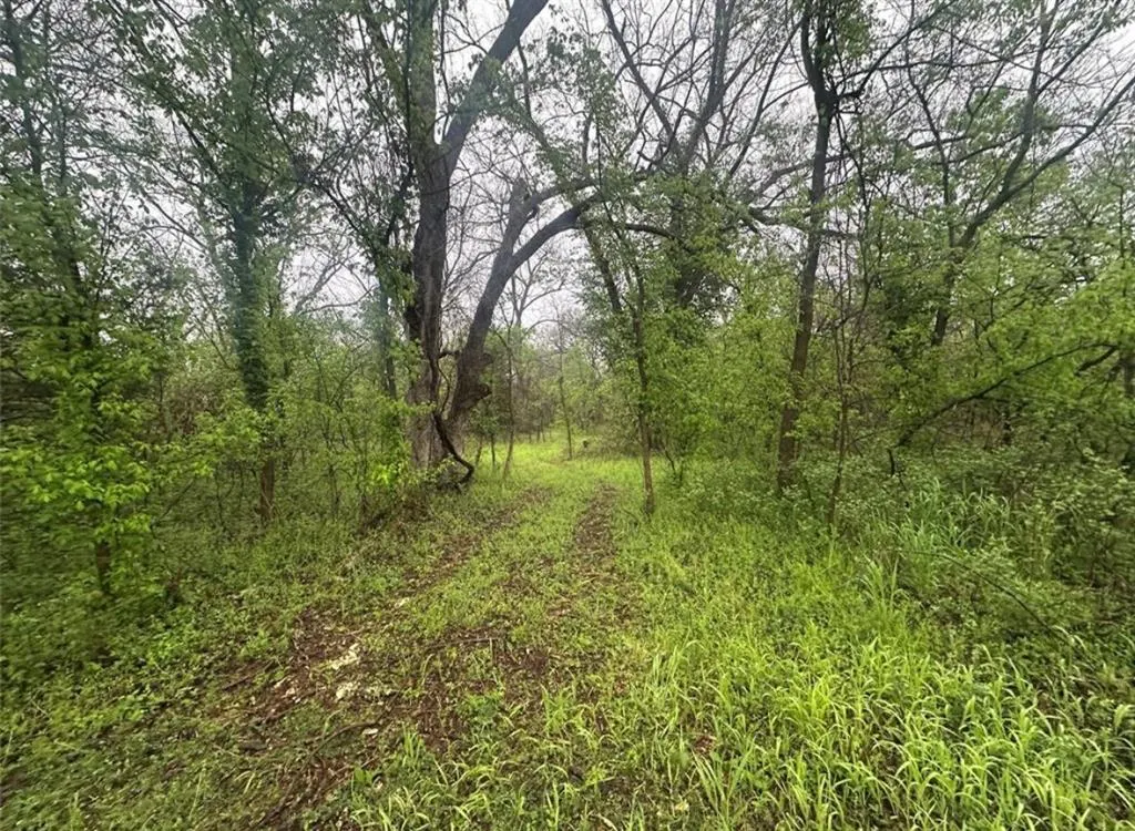 Photo 2 — 00 Okay S 40 Acres Road, Tecumseh, OK 74873