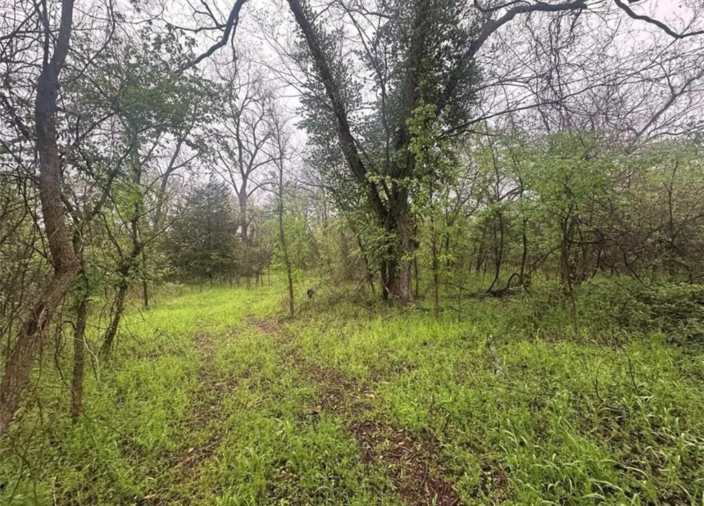 Photo 5 — 00 Okay S 40 Acres Road, Tecumseh, OK 74873