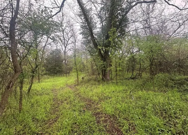 Photo 5 — 00 Okay S 40 Acres Road, Tecumseh, OK 74873