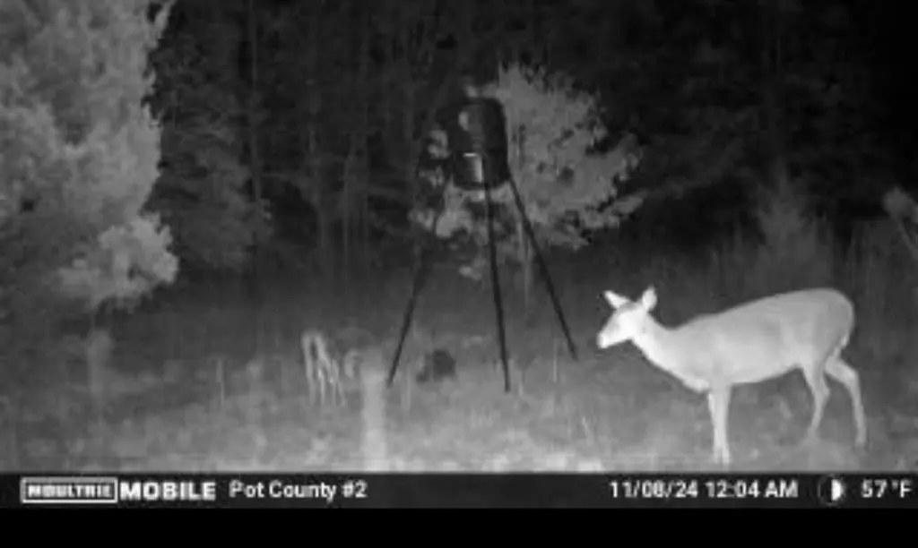 Photo 31 — 00 Okay S 40 Acres Road, Tecumseh, OK 74873