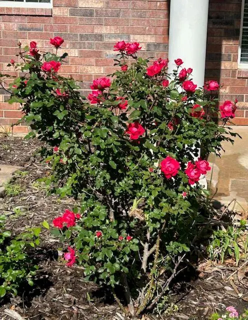 Photo 47 — 450 Hickory Hill Drive, Choctaw, OK 73020