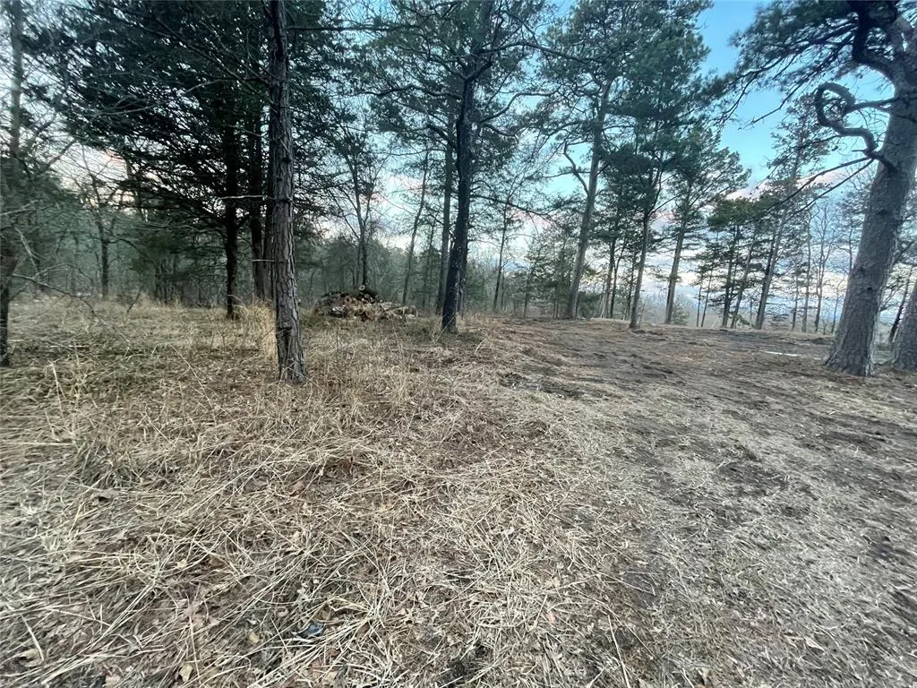 Photo 4 — 45 River Bend Road, Smithville, OK 74957