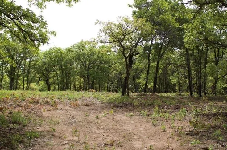 Photo 3 — 16675 Magwood Street, Lexington, OK 73051
