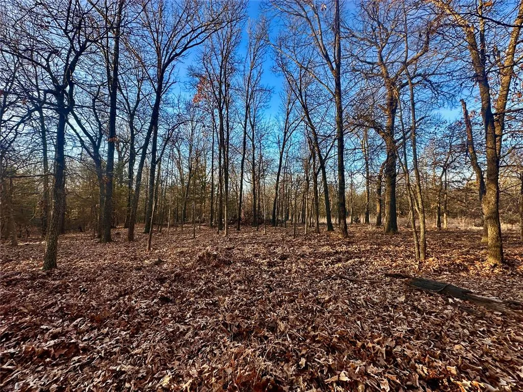 Photo 29 — 332292 E 830 Road, Carney, OK 74832