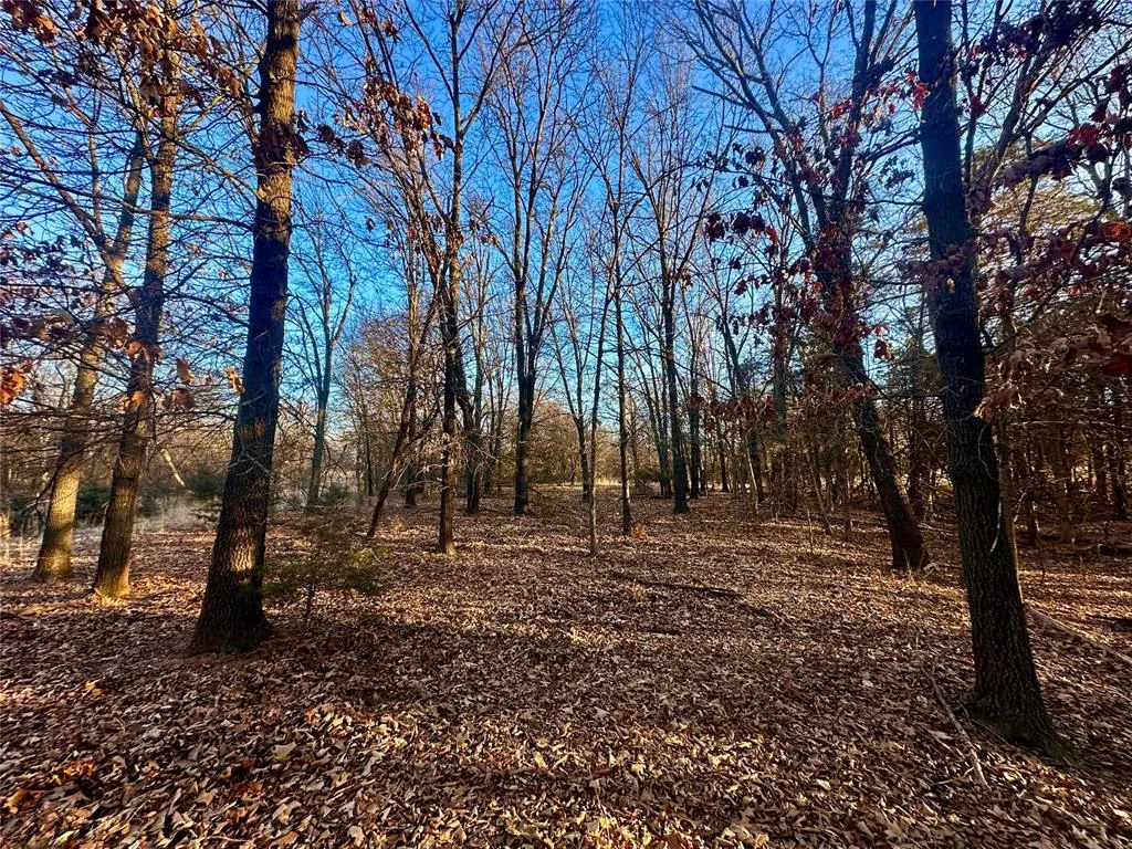 Photo 20 — 332292 E 830 Road, Carney, OK 74832