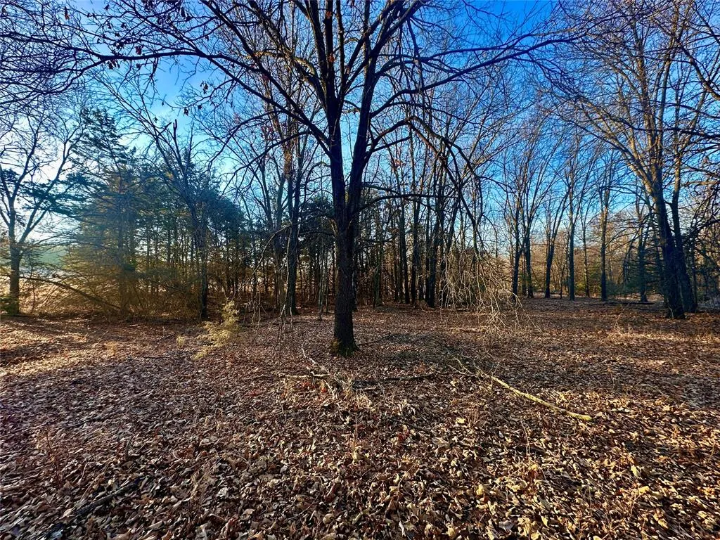 Photo 21 — 332292 E 830 Road, Carney, OK 74832