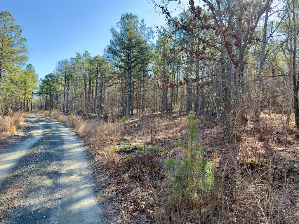 Photo 3 — 10 Indian Highway 144, Honobia, OK 74549