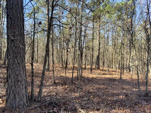 Photo 4 — 10 Indian Highway 144, Honobia, OK 74549