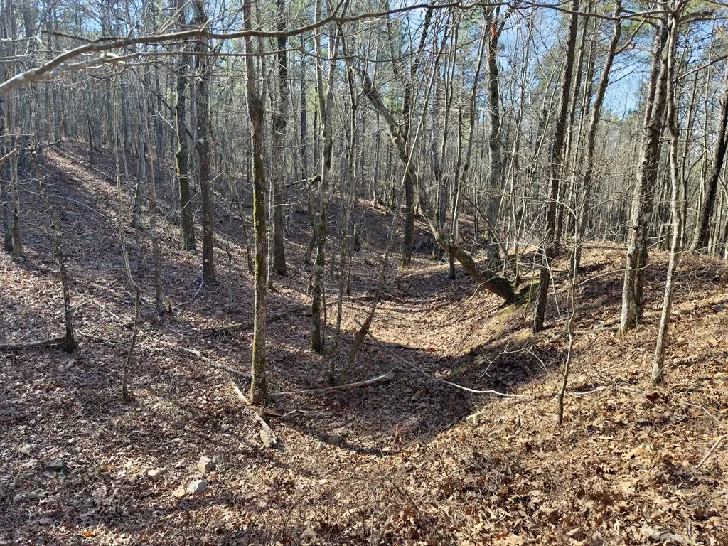 Photo 11 — 10 Indian Highway 144, Honobia, OK 74549