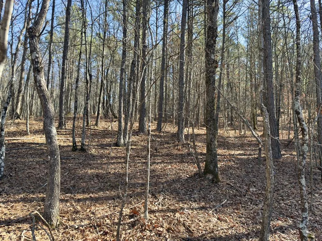 Photo 12 — 10 Indian Highway 144, Honobia, OK 74549