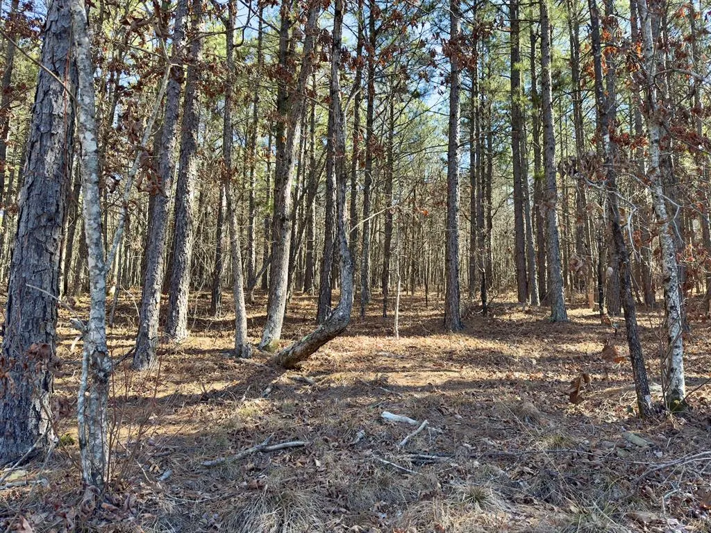 Photo 20 — 10 Indian Highway 144, Honobia, OK 74549