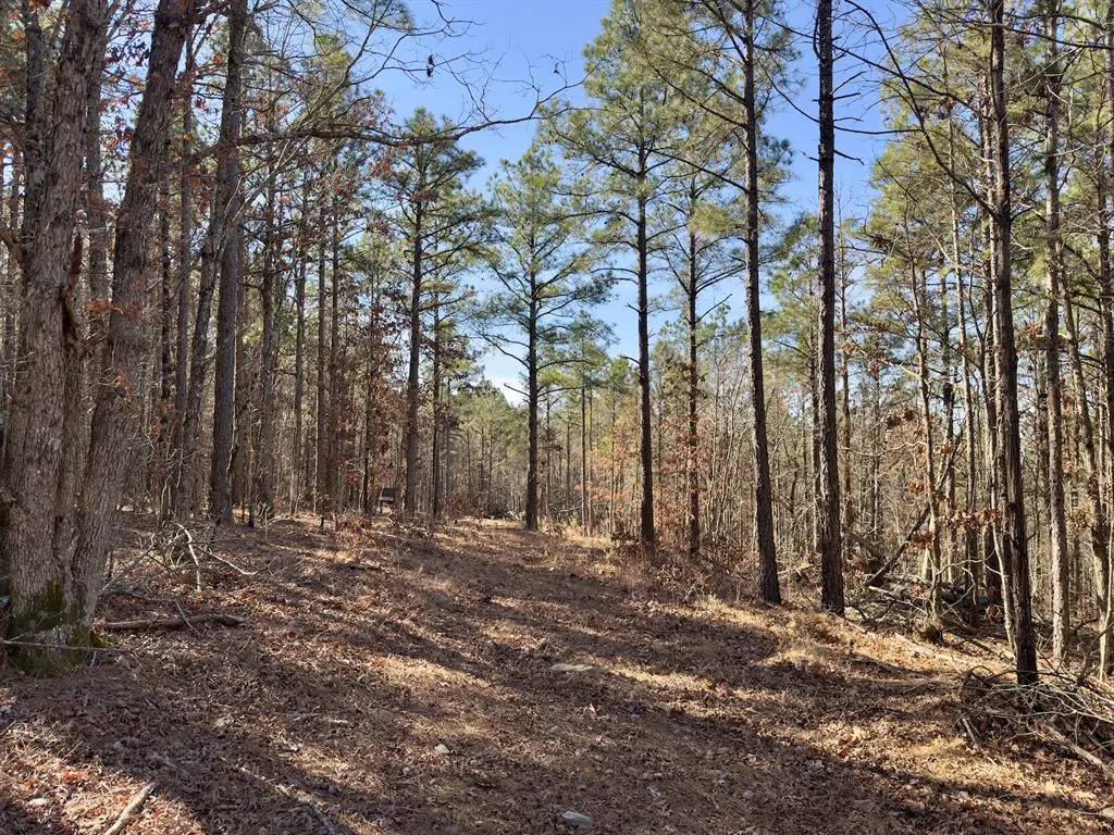 Photo 23 — 10 Indian Highway 144, Honobia, OK 74549