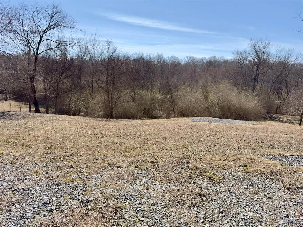 Photo 10 — 332 Walden Road, Battiest, OK 74722