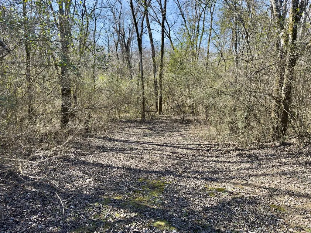 Photo 14 — 332 Walden Road, Battiest, OK 74722