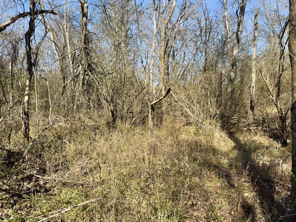 Photo 29 — 332 Walden Road, Battiest, OK 74722