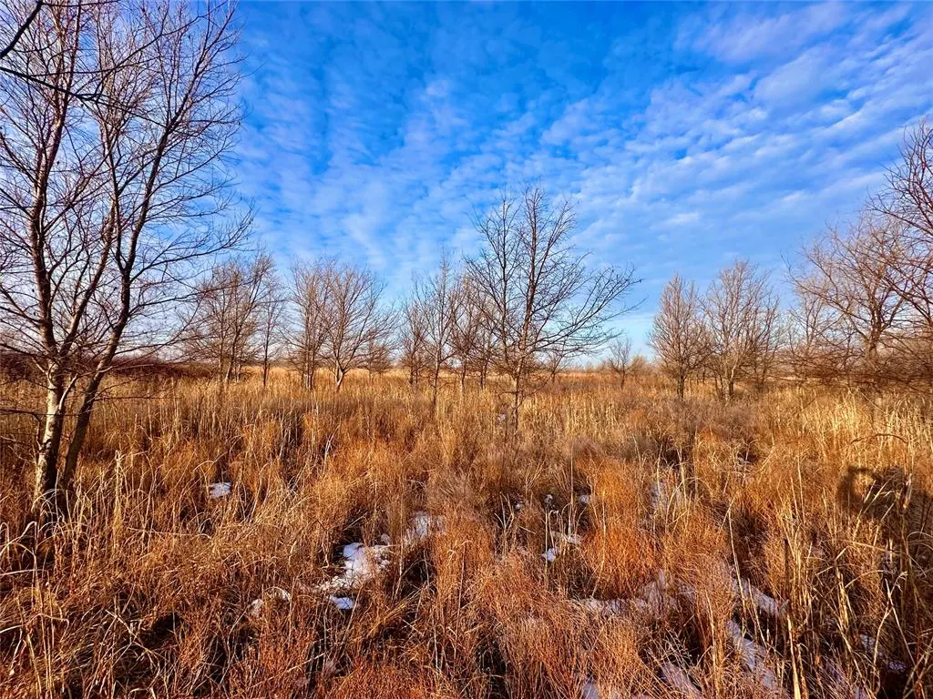 Photo 31 — 1 N 3100 Road, Lamont, OK 74643