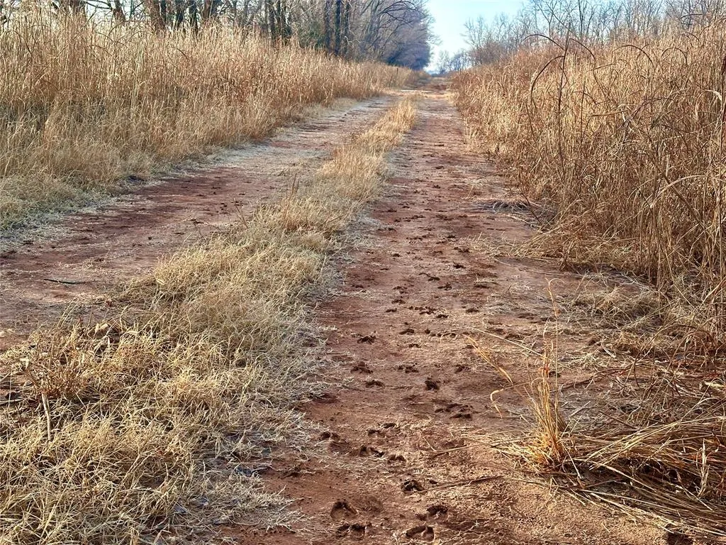 Photo 42 — 1 N 3100 Road, Lamont, OK 74643