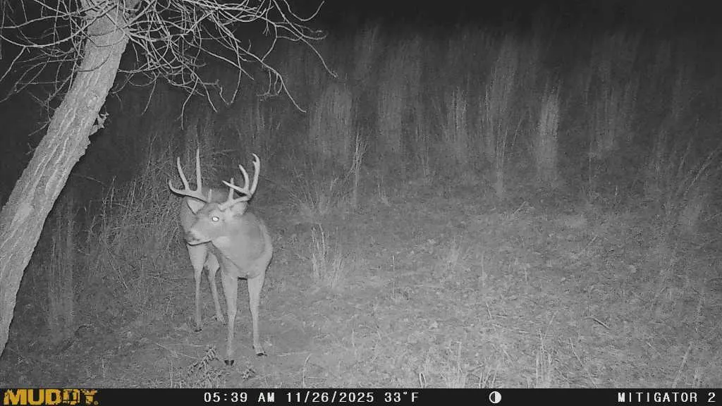 Photo 43 — 1 N 3100 Road, Lamont, OK 74643