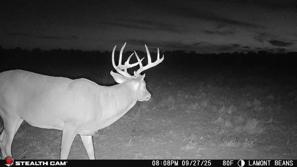 Photo 44 — 1 N 3100 Road, Lamont, OK 74643